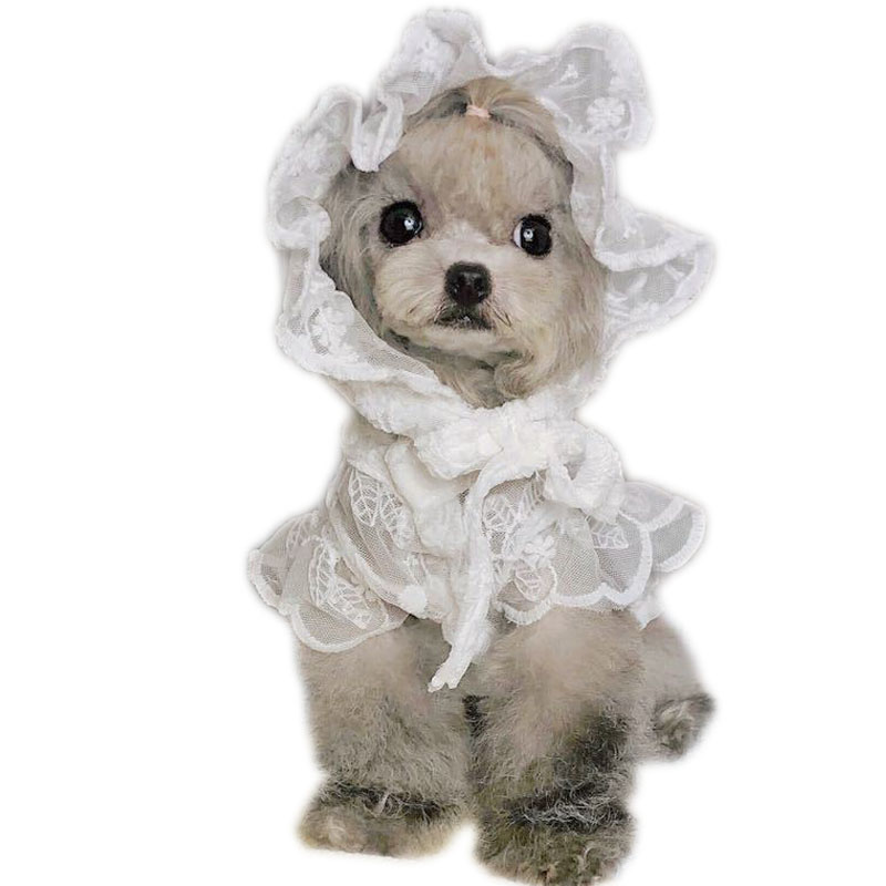 White Lace Princess Dog Weedin - Xl Summer Clothing ulasan dan harga